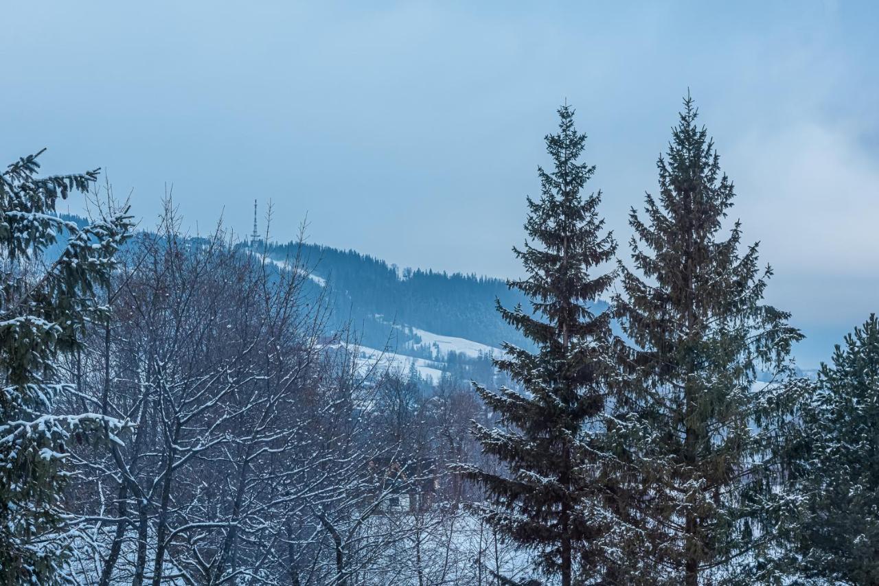 Zakopianskie Widoki Zakopane Bagian luar foto